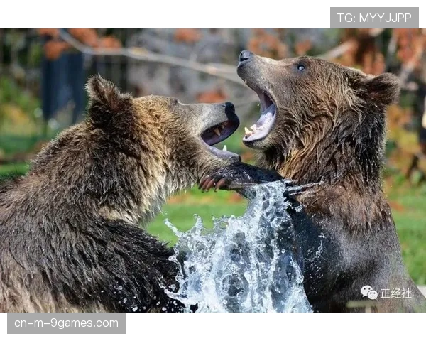 灰熊估值35亿美元 联盟最低估值仍同比增17%